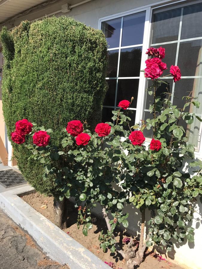 Santa Fe Motel テハチャピ エクステリア 写真